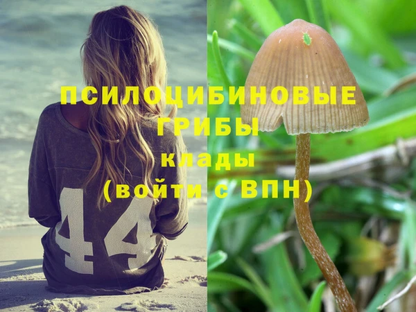 spice Зерноград