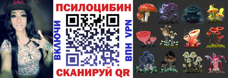 Купить где  Кадников  Галлюциногенные грибы GOLDEN TEACHER 