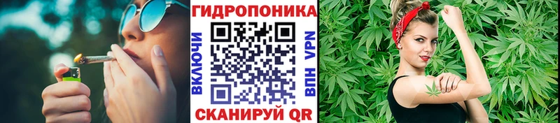 Купить где  Кадников  Каннабис план 